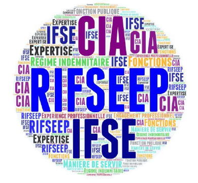 image RIFSEEP